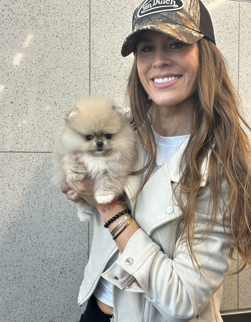 Saint - Adopted Micro Teacup Pomeranian Puppy from Platinum Pups of Miami