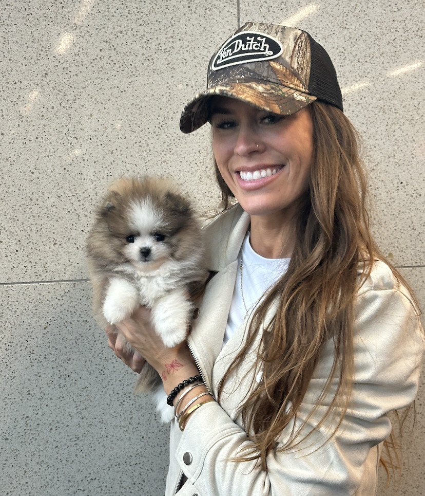 Sasha - Adopted Micro Teacup Pomeranian Puppy from Platinum Pups of Miami