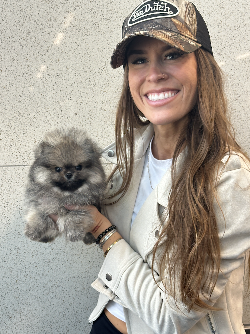 Bruno - Adopted Micro Teacup Pomeranian Puppy from Platinum Pups of Miami